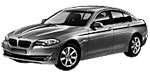 BMW F10 P2101 Fault Code